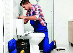 Toilet Fitting